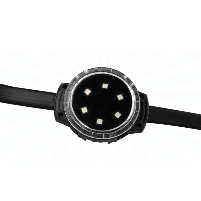 專業LED點光源戶外亮化工程廠家_華宇星光電(圖4)